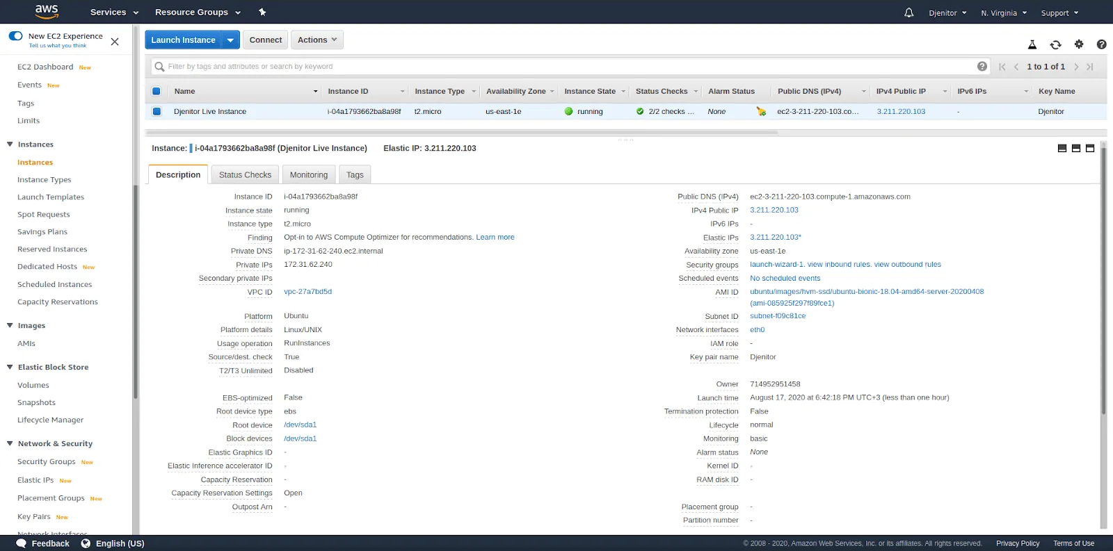 The EC2 Panel in AWS Console, where you can see details about the instances created